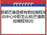 昌都芒康县哪有数控编程培训中心中职怎么样(芒康数控编程培训)