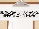 红河红河县单招集训学校在哪里(红河单招学校位置)