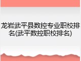 龙岩武平县数控专业职校排名(武平数控职校排名)