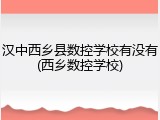 汉中西乡县数控学校有没有(西乡数控学校)