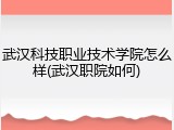 武汉科技职业技术学院怎么样(武汉职院如何)