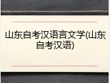 山东自考汉语言文学(山东自考汉语)