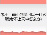 考不上高中到底可以干什么呢(考不上高中怎么办)