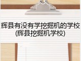 辉县有没有学挖掘机的学校(辉县挖掘机学校)