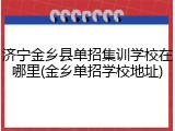 济宁金乡县单招集训学校在哪里(金乡单招学校地址)