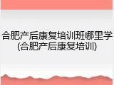合肥产后康复培训班哪里学(合肥产后康复培训)