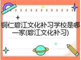 铜仁碧江文化补习学校是哪一家(碧江文化补习)