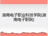 湖南电子职业科技学院(湖南电子职院)