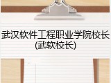 武汉软件工程职业学院校长(武软校长)