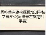 阿拉善左旗挖掘机培训学校学费多少(阿拉善左旗挖机学费)
