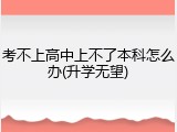 考不上高中上不了本科怎么办(升学无望)
