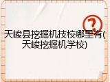 天峻县挖掘机技校哪里有(天峻挖掘机学校)