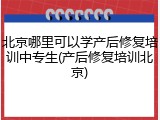 北京哪里可以学产后修复培训中专生(产后修复培训北京)