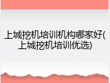 上城挖机培训机构哪家好(上城挖机培训优选)