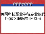 黄冈科技职业学院专业组代码(黄冈职院专业代码)