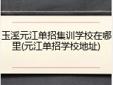 玉溪元江单招集训学校在哪里(元江单招学校地址)