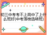 初三中考考不上高中了上什么班好(中考落榜选啥班)