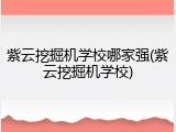 紫云挖掘机学校哪家强(紫云挖掘机学校)
