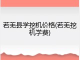 若羌县学挖机价格(若羌挖机学费)