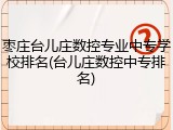 枣庄台儿庄数控专业中专学校排名(台儿庄数控中专排名)