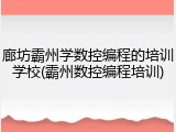 廊坊霸州学数控编程的培训学校(霸州数控编程培训)