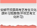 安顺平坝县高考艺考生文化课补习班推荐(平坝艺考文化补习)