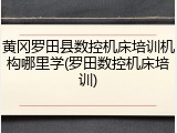 黄冈罗田县数控机床培训机构哪里学(罗田数控机床培训)