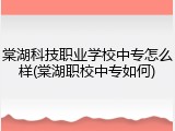 棠湖科技职业学校中专怎么样(棠湖职校中专如何)