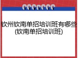 钦州钦南单招培训班有哪些(钦南单招培训班)