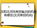 沈阳沈河找单招集训的机构有哪些(沈河单招机构)
