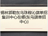 锡林郭勒东乌珠穆沁旗单招集训中心在哪(东乌旗单招中心)