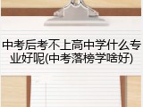 中考后考不上高中学什么专业好呢(中考落榜学啥好)