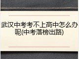 武汉中考考不上高中怎么办呢(中考落榜出路)
