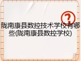 陇南康县数控技术学校有哪些(陇南康县数控学校)