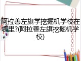 阿拉善左旗学挖掘机学校在哪里?(阿拉善左旗挖掘机学校)