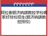 阿拉善额济纳旗数控学校哪家好技校招生(额济纳旗数控技校)