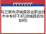 乌兰察布凉城县农业职业技术中专好不好(凉城县农校如何)