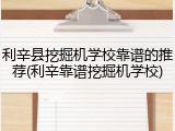 利辛县挖掘机学校靠谱的推荐(利辛靠谱挖掘机学校)