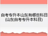 自考专升本山东有哪些科目(山东自考专升本科目)