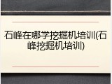 石峰在哪学挖掘机培训(石峰挖掘机培训)