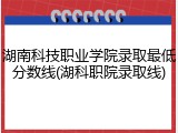 湖南科技职业学院录取最低分数线(湖科职院录取线)