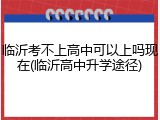临沂考不上高中可以上吗现在(临沂高中升学途径)