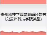 贵州科技学院是职高还是技校(贵州科技学院类型)