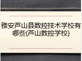 雅安芦山县数控技术学校有哪些(芦山数控学校)