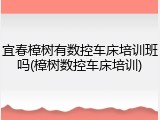 宜春樟树有数控车床培训班吗(樟树数控车床培训)