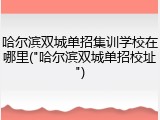 哈尔滨双城单招集训学校在哪里("哈尔滨双城单招校址")