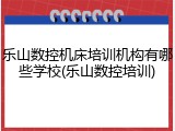 乐山数控机床培训机构有哪些学校(乐山数控培训)