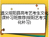 遵义绥阳县高考艺考生文化课补习班推荐(绥阳艺考文化补习)