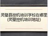 灵璧县挖机培训学校在哪里(灵璧挖机培训地址)