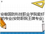 安徽国防科技职业学院最好的专业(安防职院王牌专业)